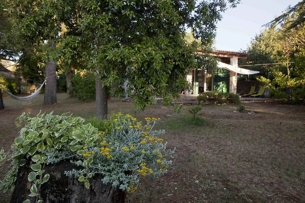 Holiday Home Dajla 35 Novigrad  Croatia