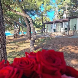 Vakantiepark Family Pineta, Novigrad Istria